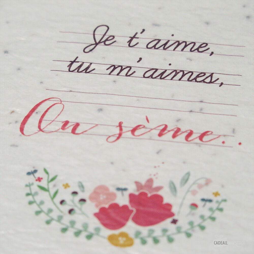 Carte à Planter "Je t'aime, Tu m'aimes" - Carte Anniversaire CadoMaestro