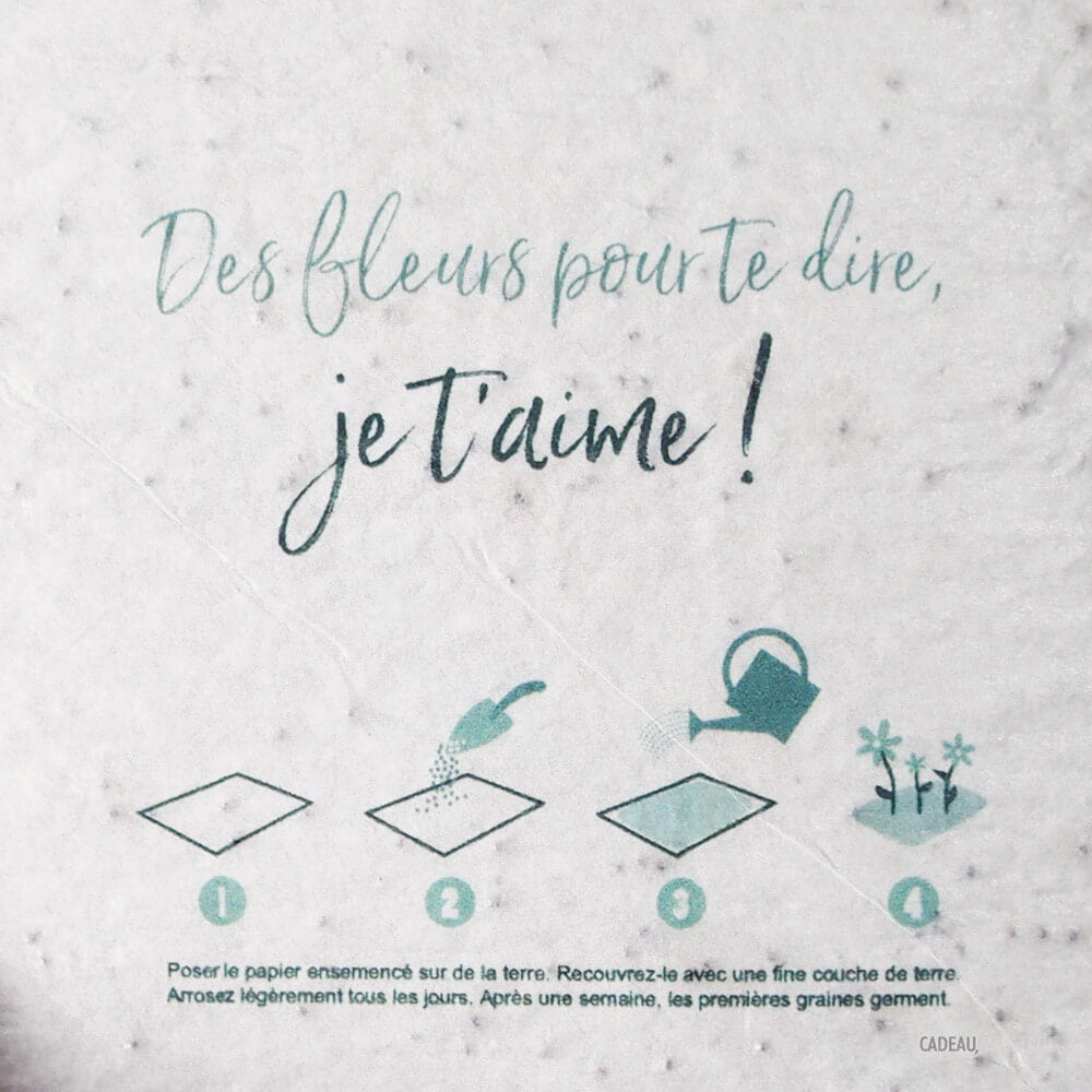 Carte à Planter "Je t'Aime Papa" - Carte Anniversaire CadoMaestro