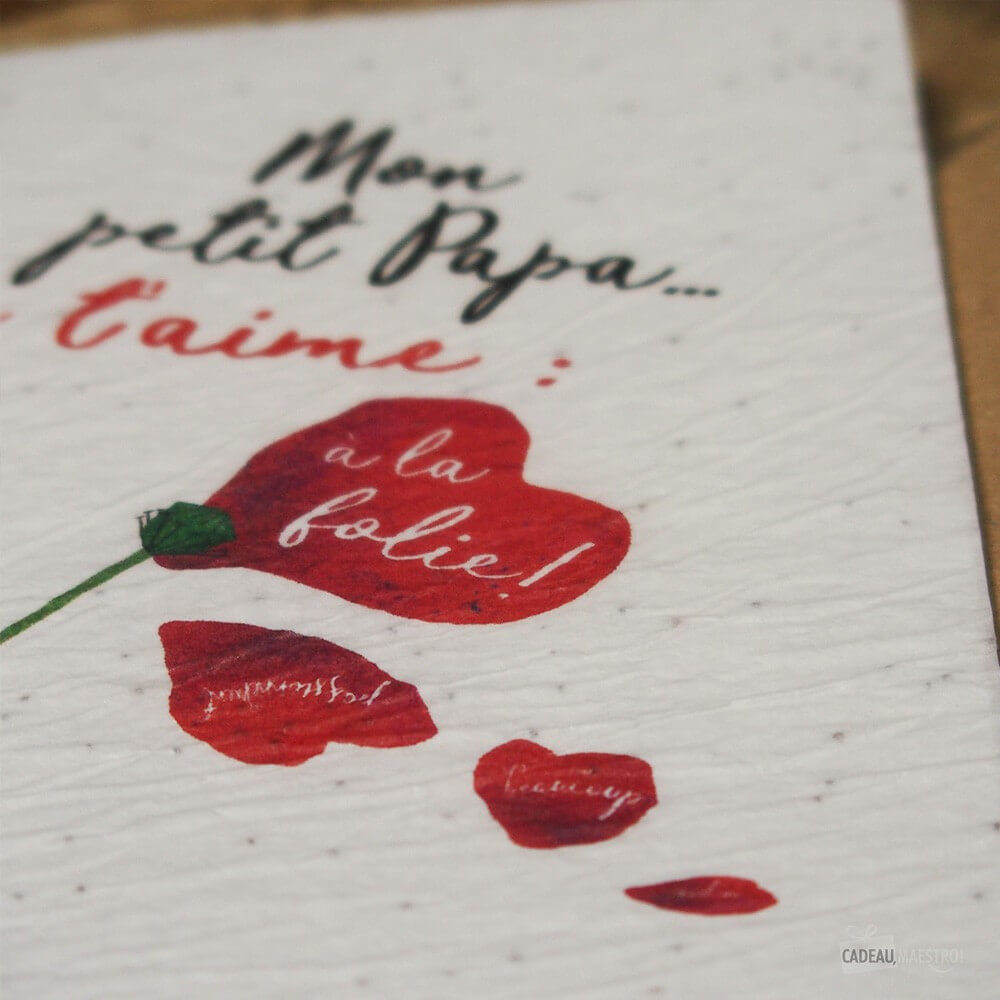 Carte à Planter "Je t'Aime Papa" - Carte Anniversaire CadoMaestro