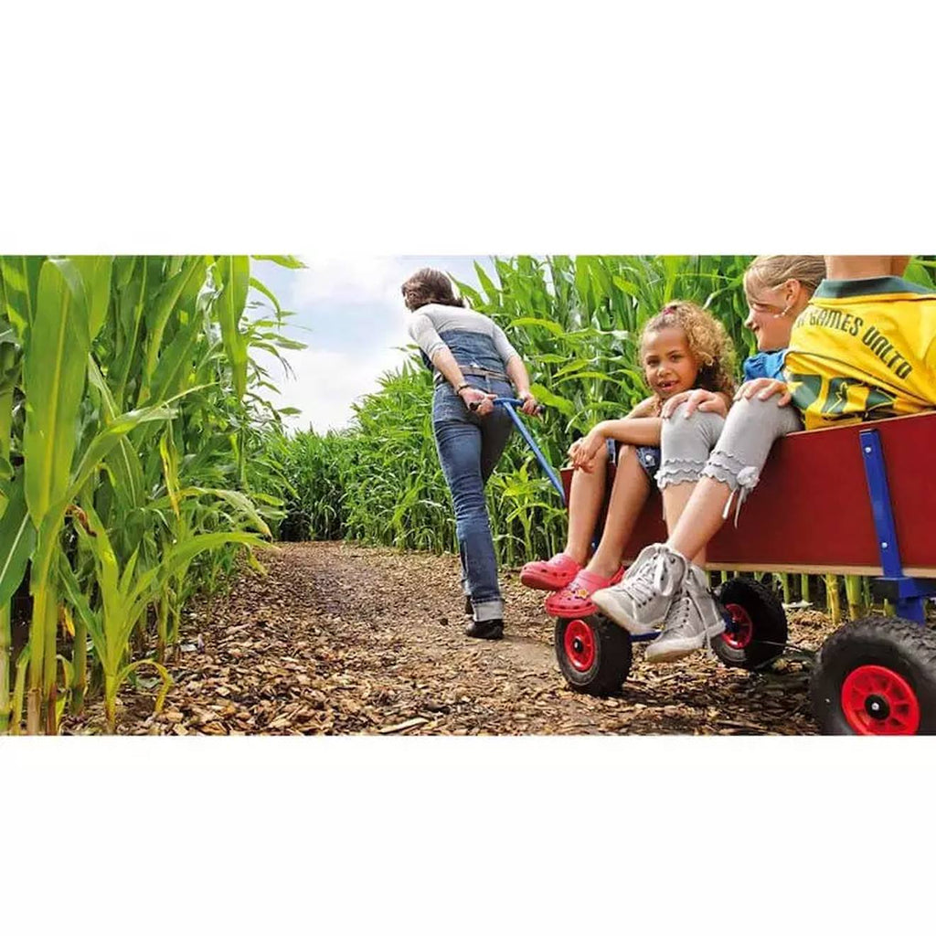 Chariot en bois marron