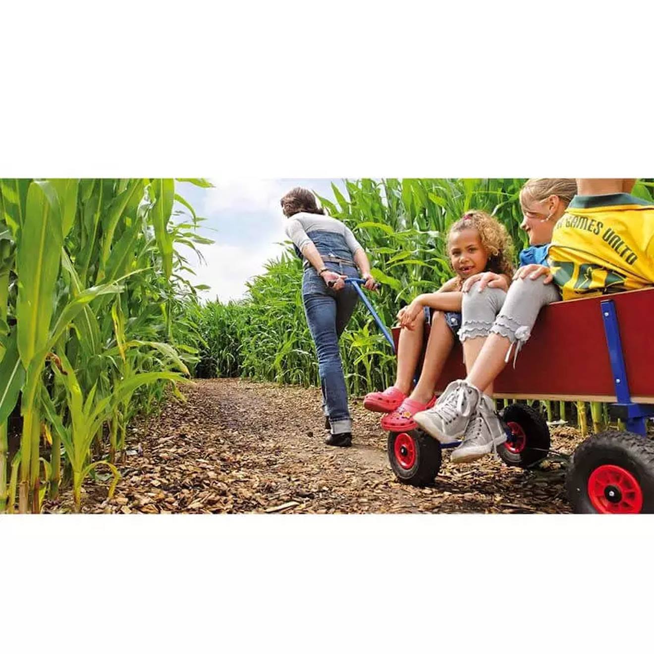 Chariot en bois marron