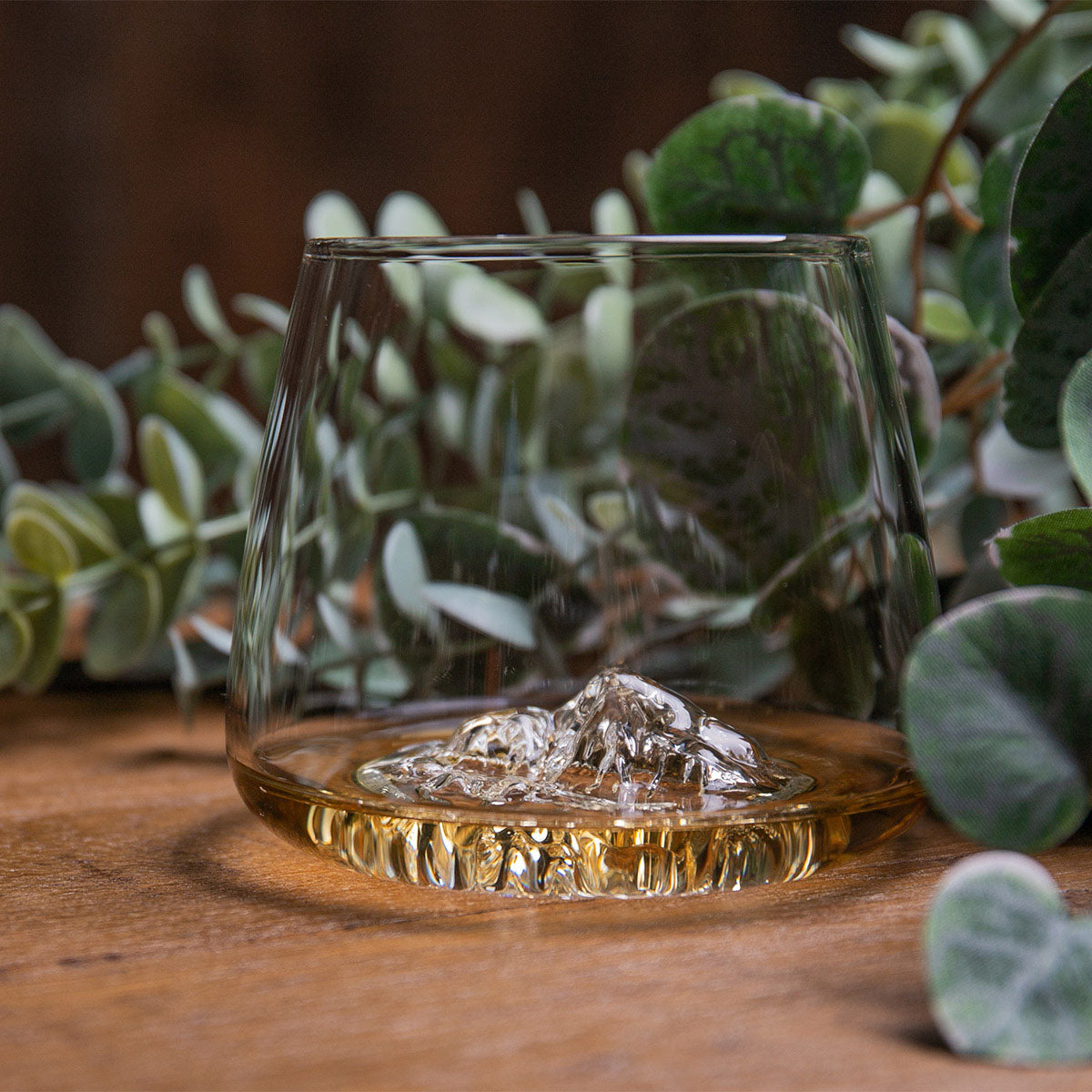 Coffret 2 verres Topographic Alaskan Maker