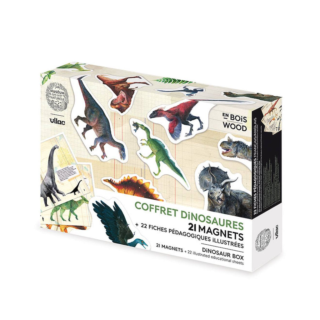 Coffret de 21 magnets dinosaures beige