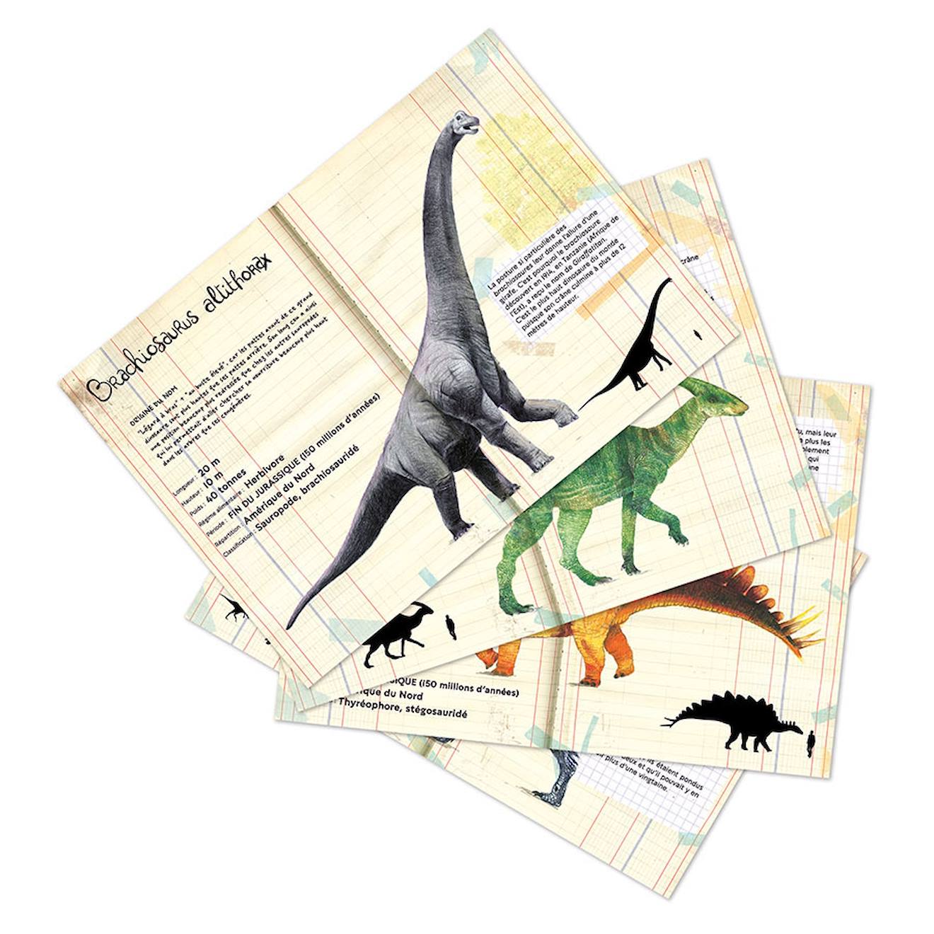 Coffret de 21 magnets dinosaures beige