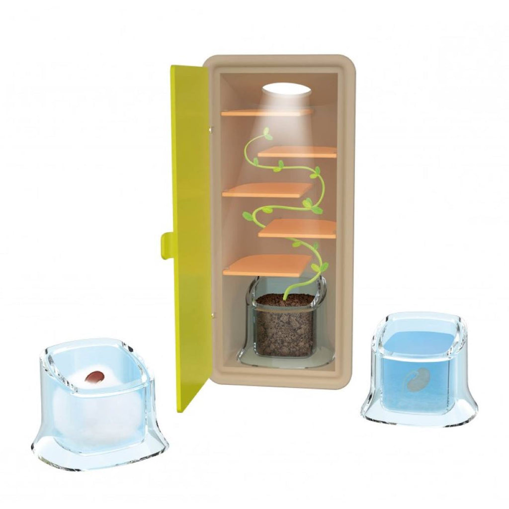 Coffret petites pousses vert