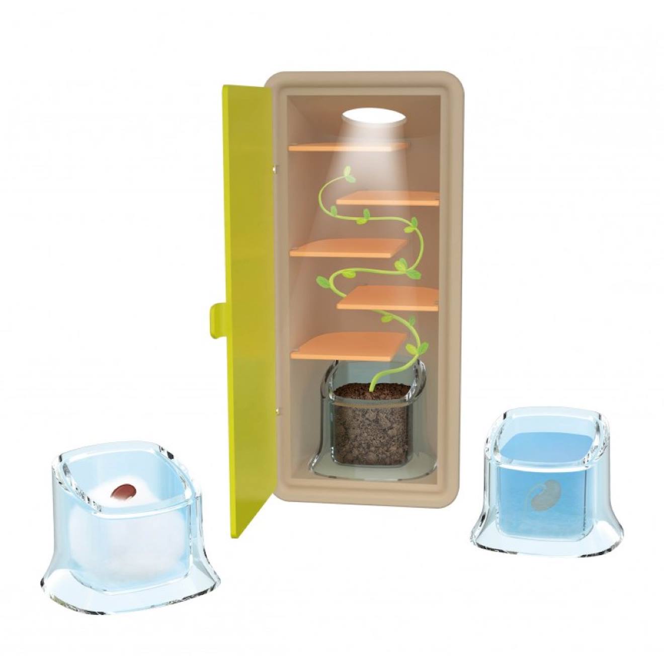 Coffret petites pousses vert