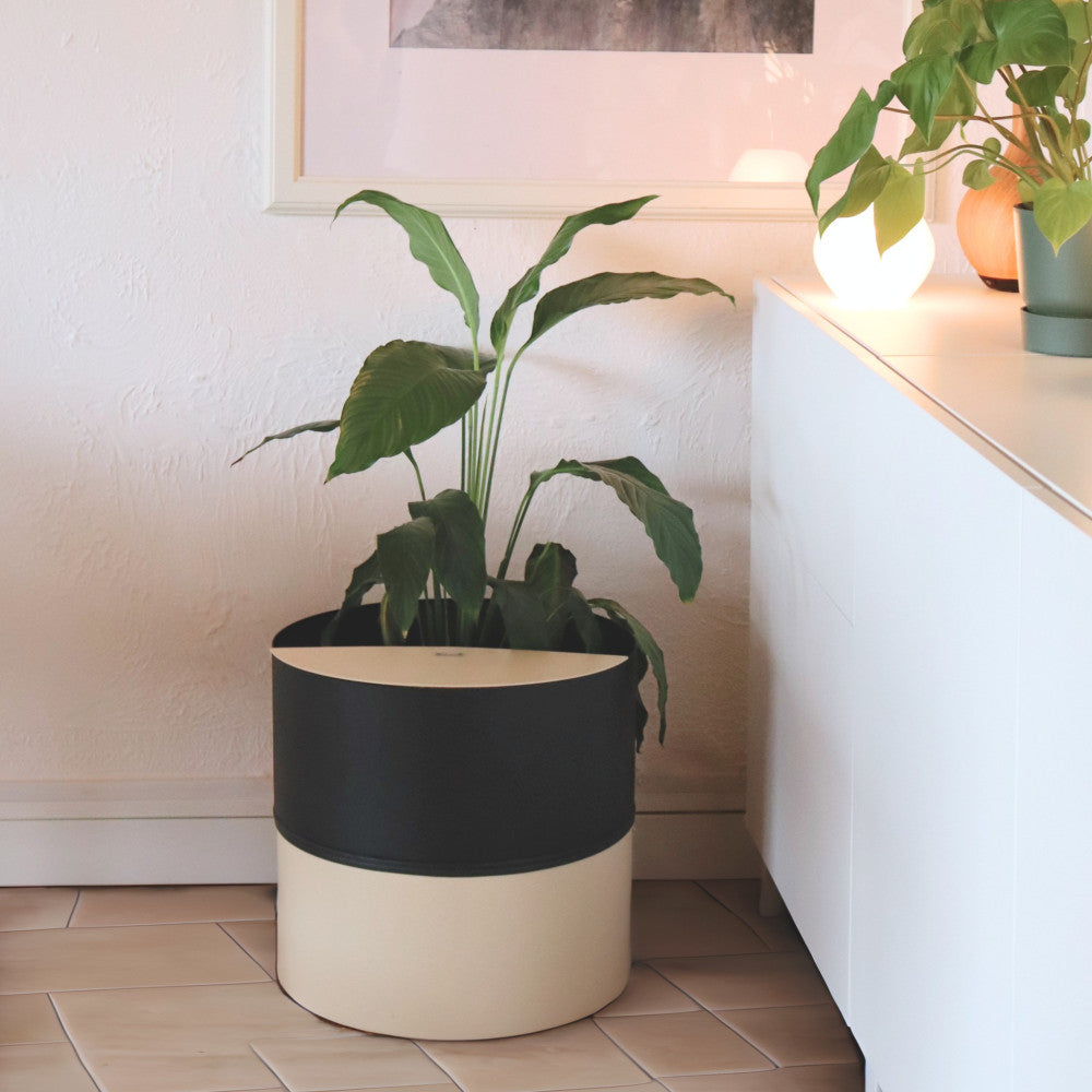 Composteur d'Intérieur Melo 20L - Kits de Plantation
