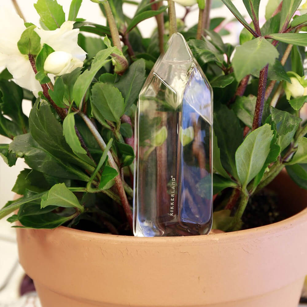 Cristal d'Eau pour Plantes - Cache Pot Original Kikkerland