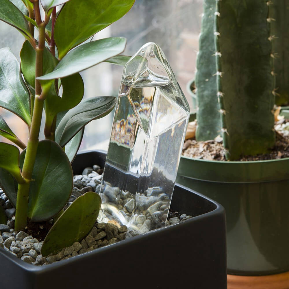 Cristal d'Eau pour Plantes - Cache Pot Original