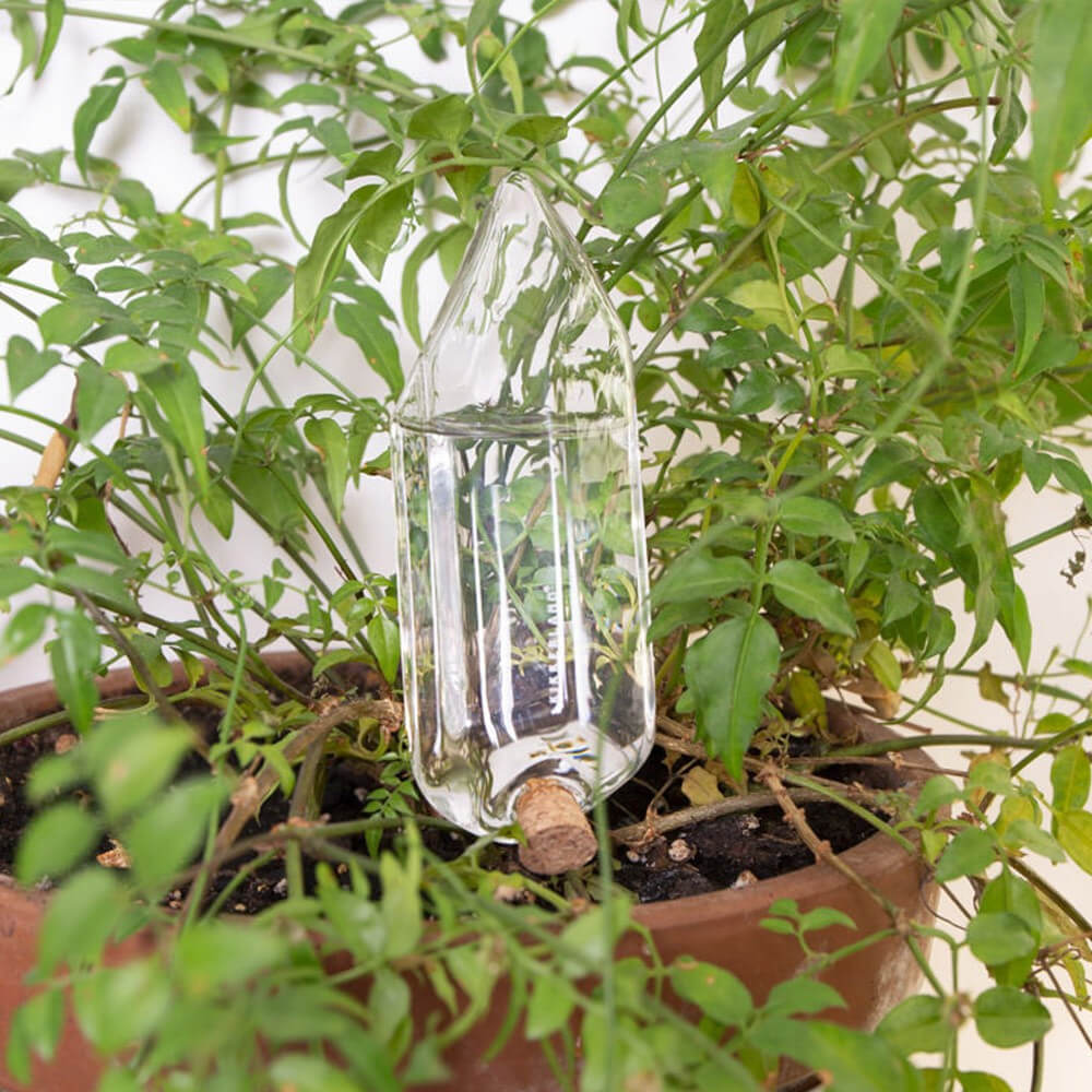 Cristal d'Eau pour Plantes - Cache Pot Original Kikkerland