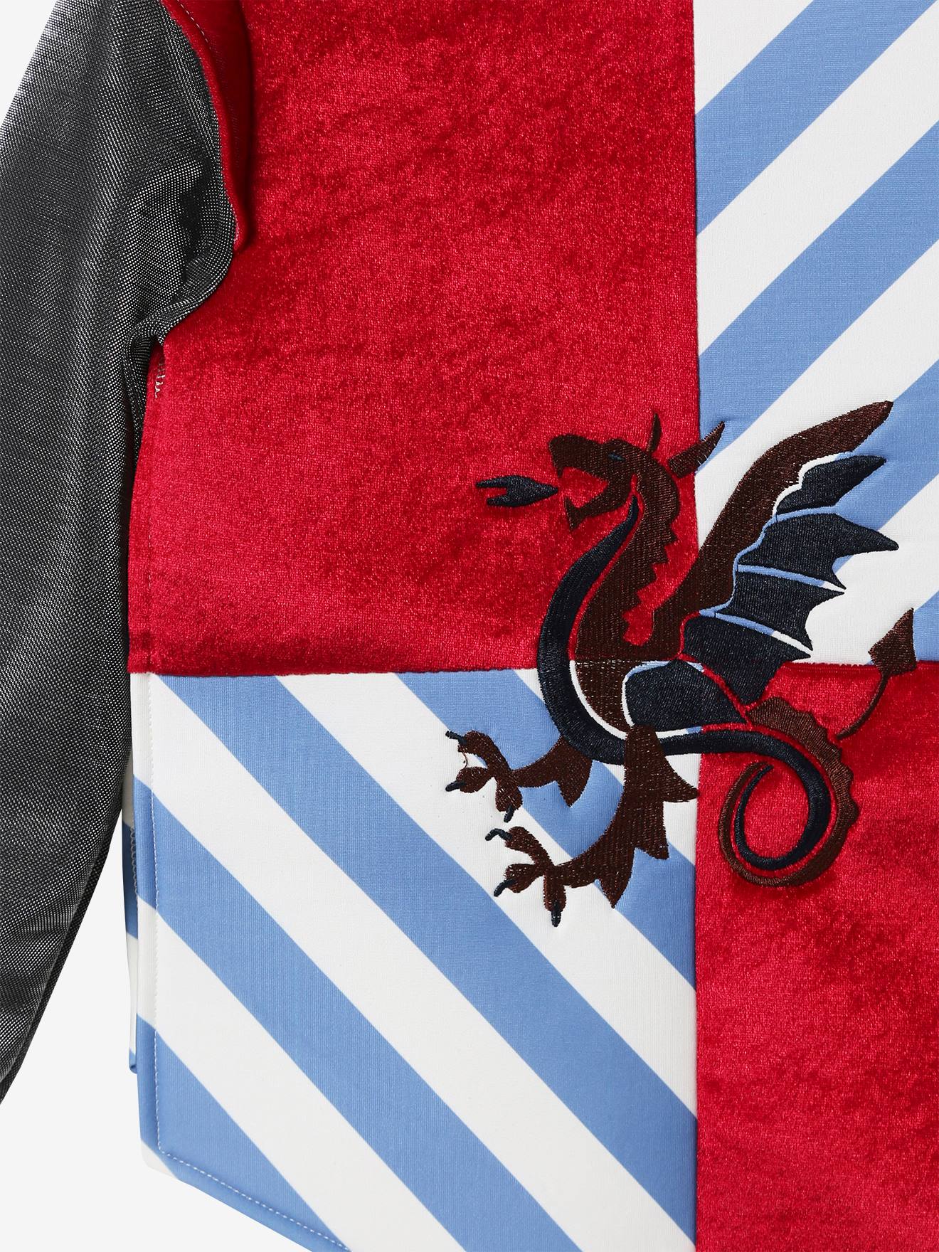 Déguisement de chevalier gris