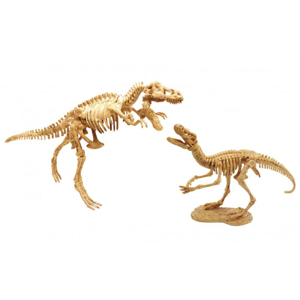 Dino dig t-rex et raptor bleu