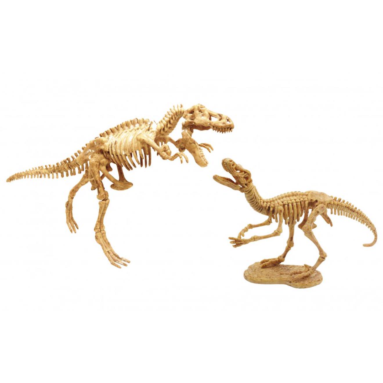 Dino dig t-rex et raptor bleu