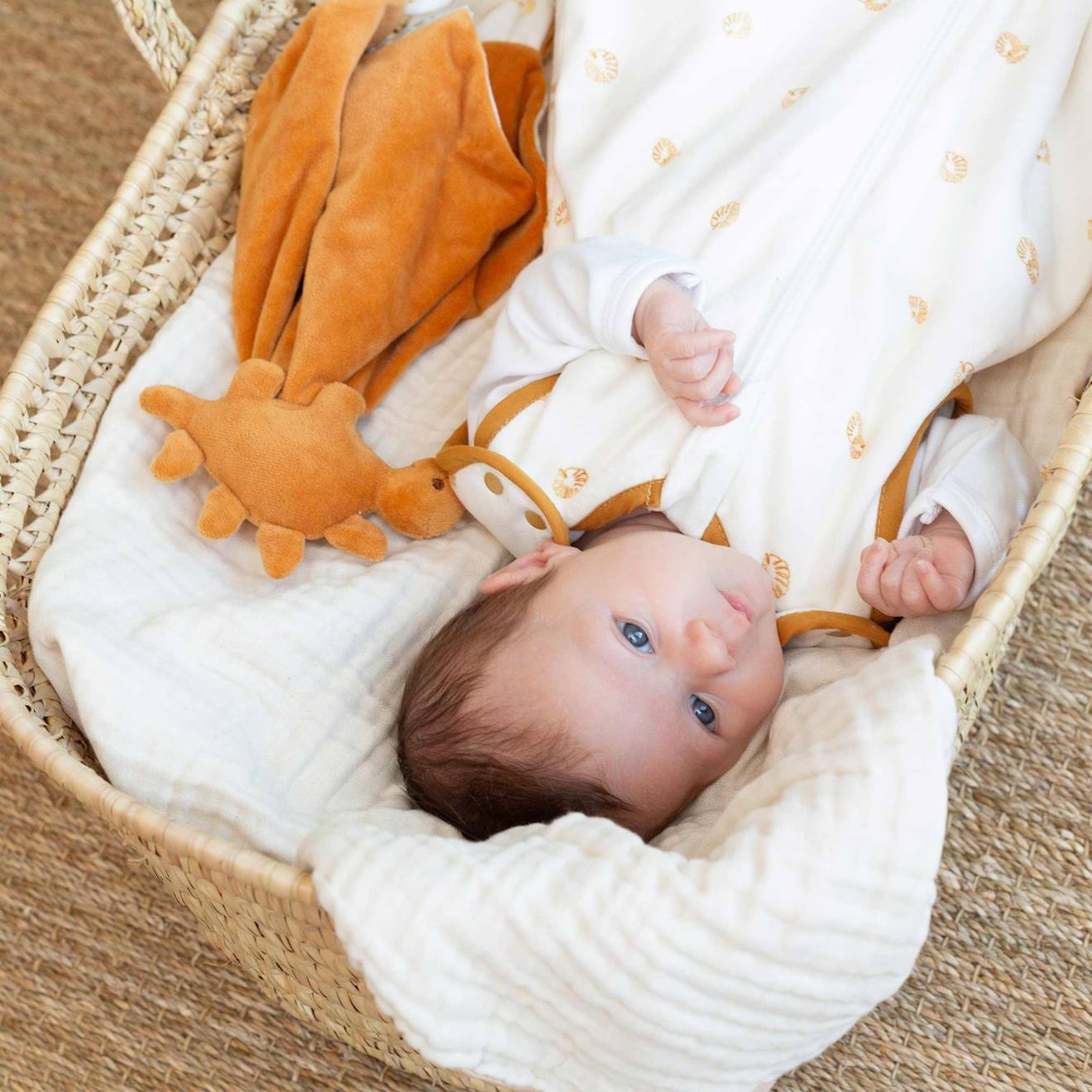 Doudou naissance marron