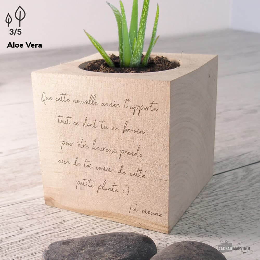EcoCube avec Message à Personnaliser Bananes Naines - Ecocube Personnalisé