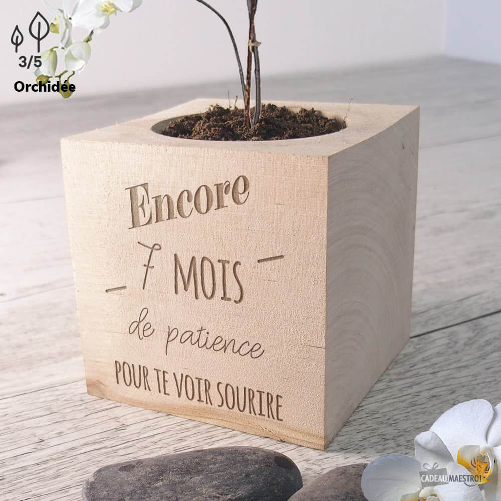 EcoCube Bébé en Cours à Personnaliser Bananes Naines - Ecocube Personnalisé