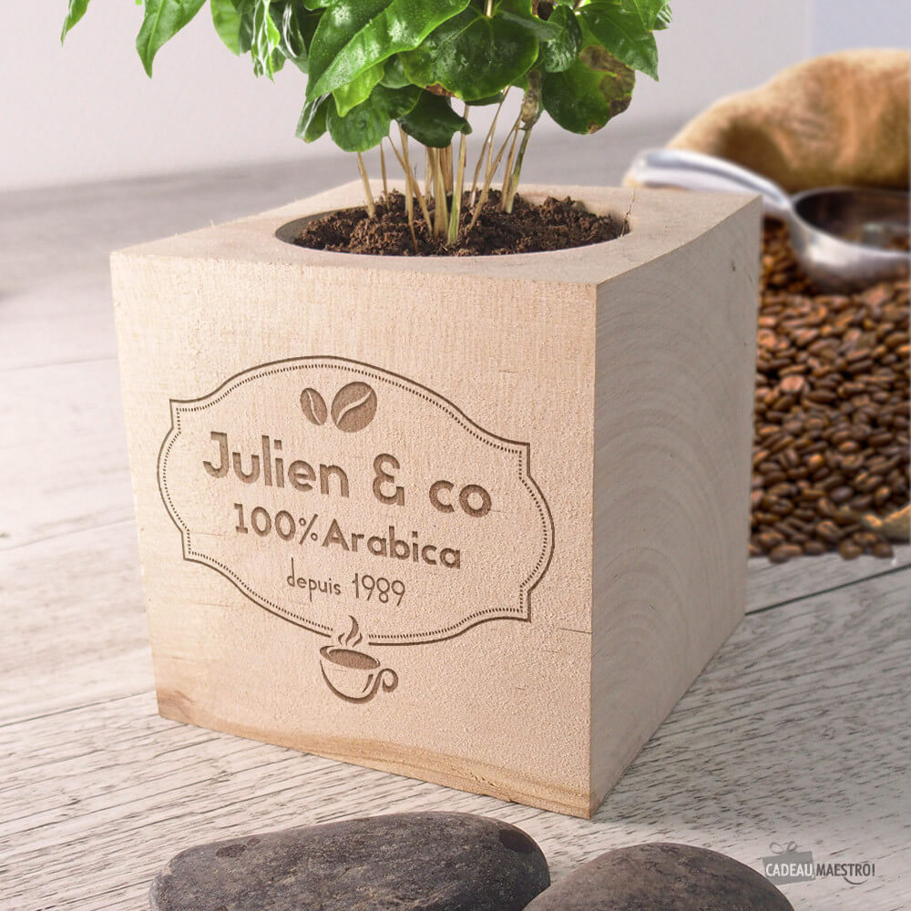 Ecocube Café à Faire Pousser à Personnaliser Café - Ecocube Personnalisé