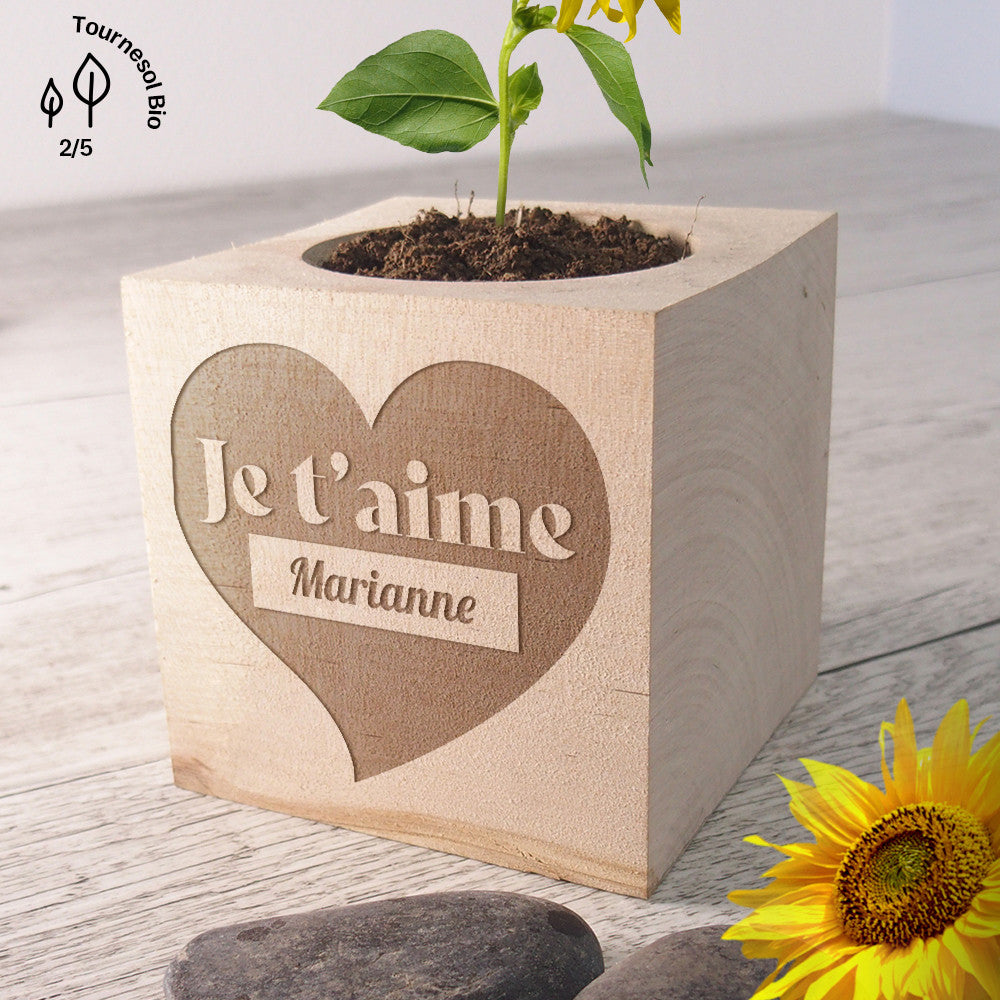EcoCube Je t'Aime à Personnaliser Bananes Naines - Ecocube Personnalisé