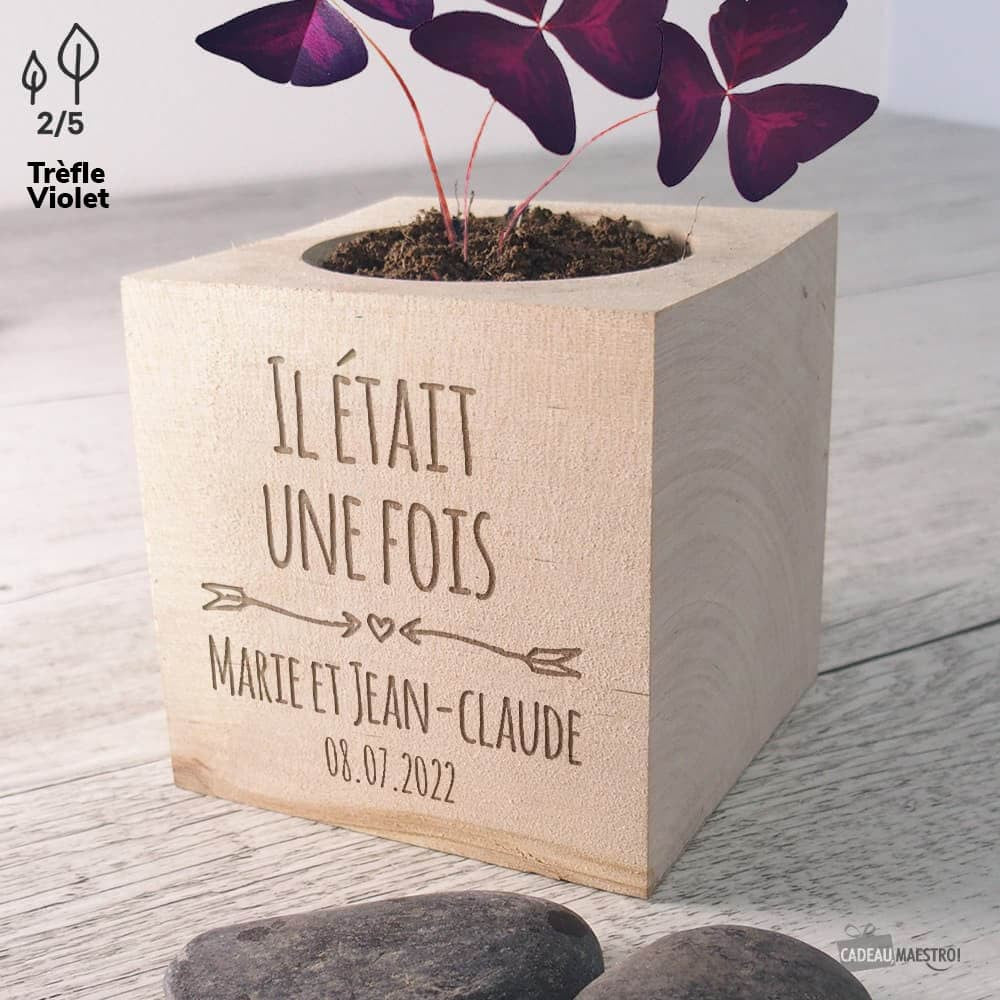 EcoCube Mariage Il Était une Fois à Personnaliser Bananes Naines - Ecocube Personnalisé