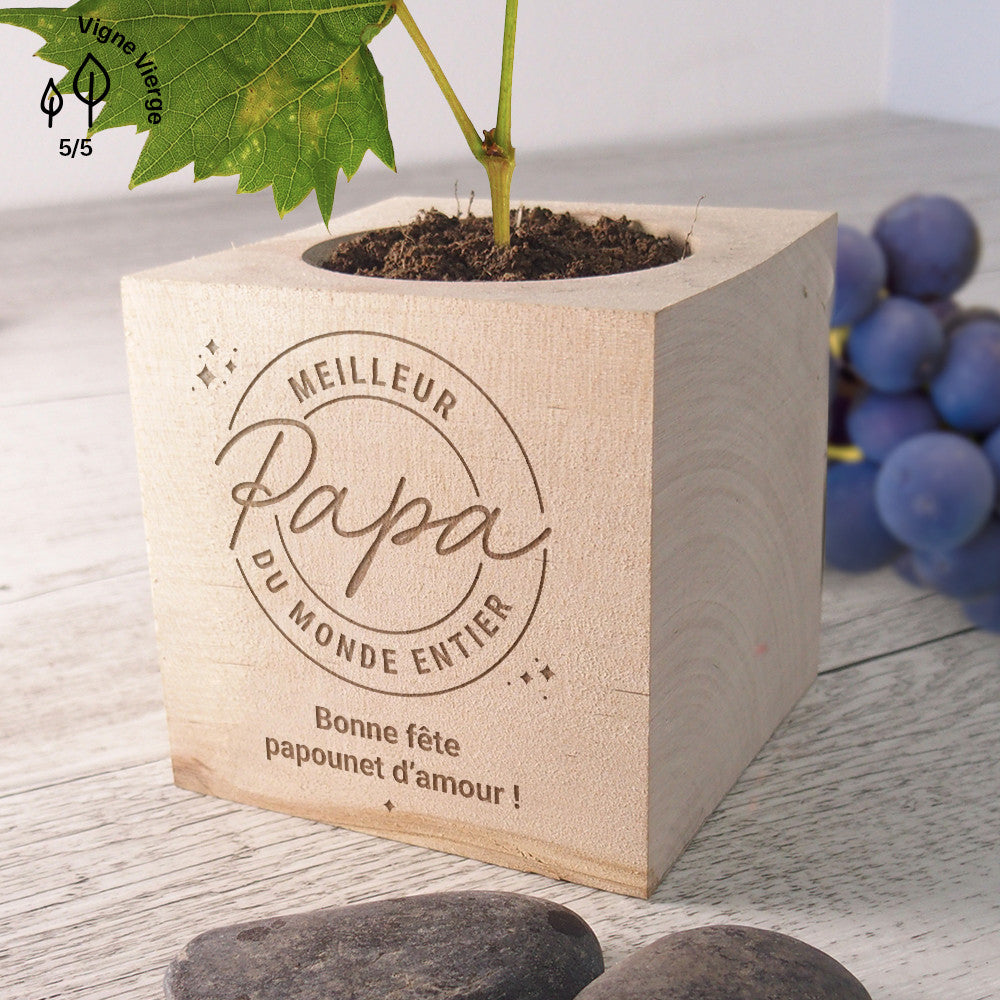 Ecocube Meilleur Papa à Personnaliser Lavande Bio - Ecocube Personnalisé