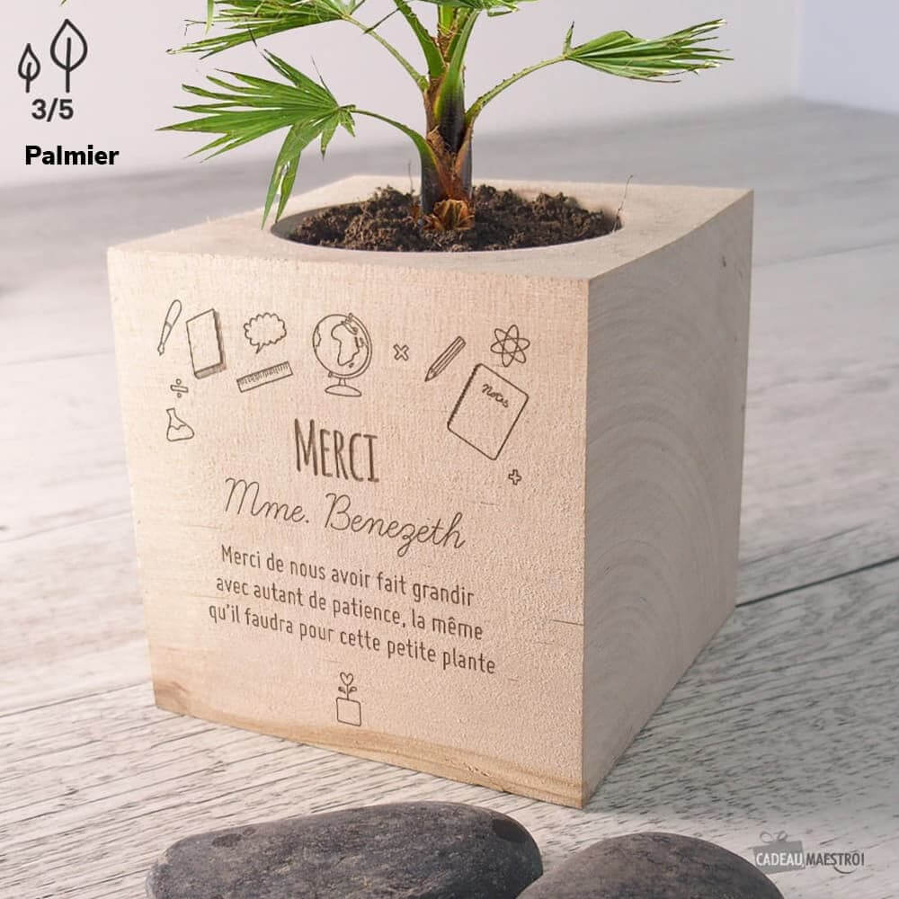 EcoCube Merci Maîtresse à Personnaliser Bananes Naines - Ecocube Personnalisé