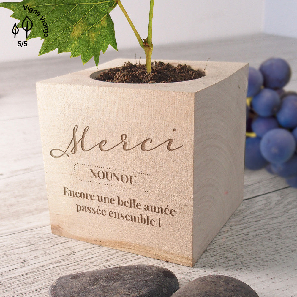 Ecocube Merci à Personnaliser Palmier - Ecocube Personnalisé