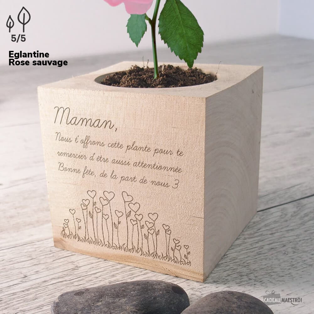 EcoCube Message d'Amour à Personnaliser Bananes Naines - Ecocube Personnalisé