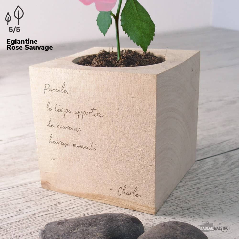 EcoCube Message de Condoléances à Personnaliser Orchidée - Ecocube Personnalisé