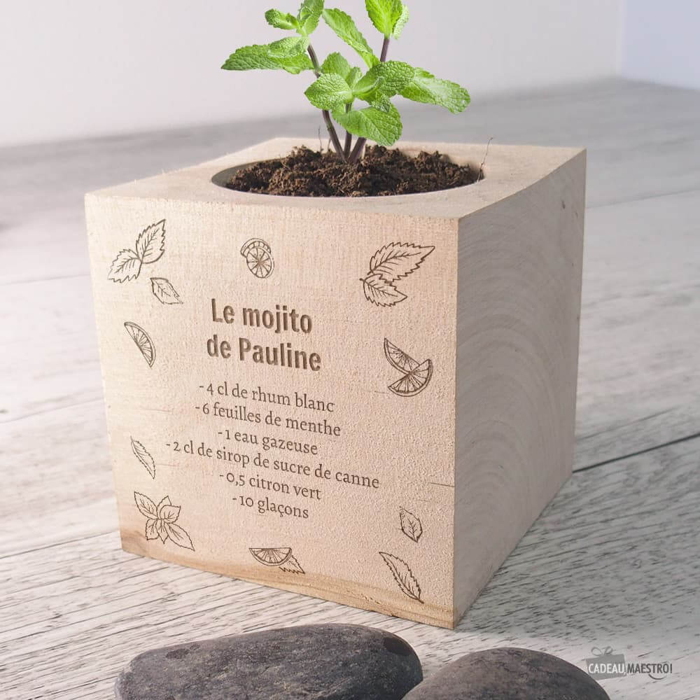 Ecocube Mojito à Personnaliser Menthe - Ecocube Personnalisé