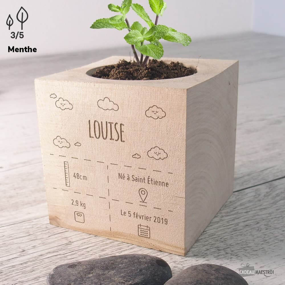 EcoCube Naissance à Personnaliser Bananes Naines - Ecocube Personnalisé