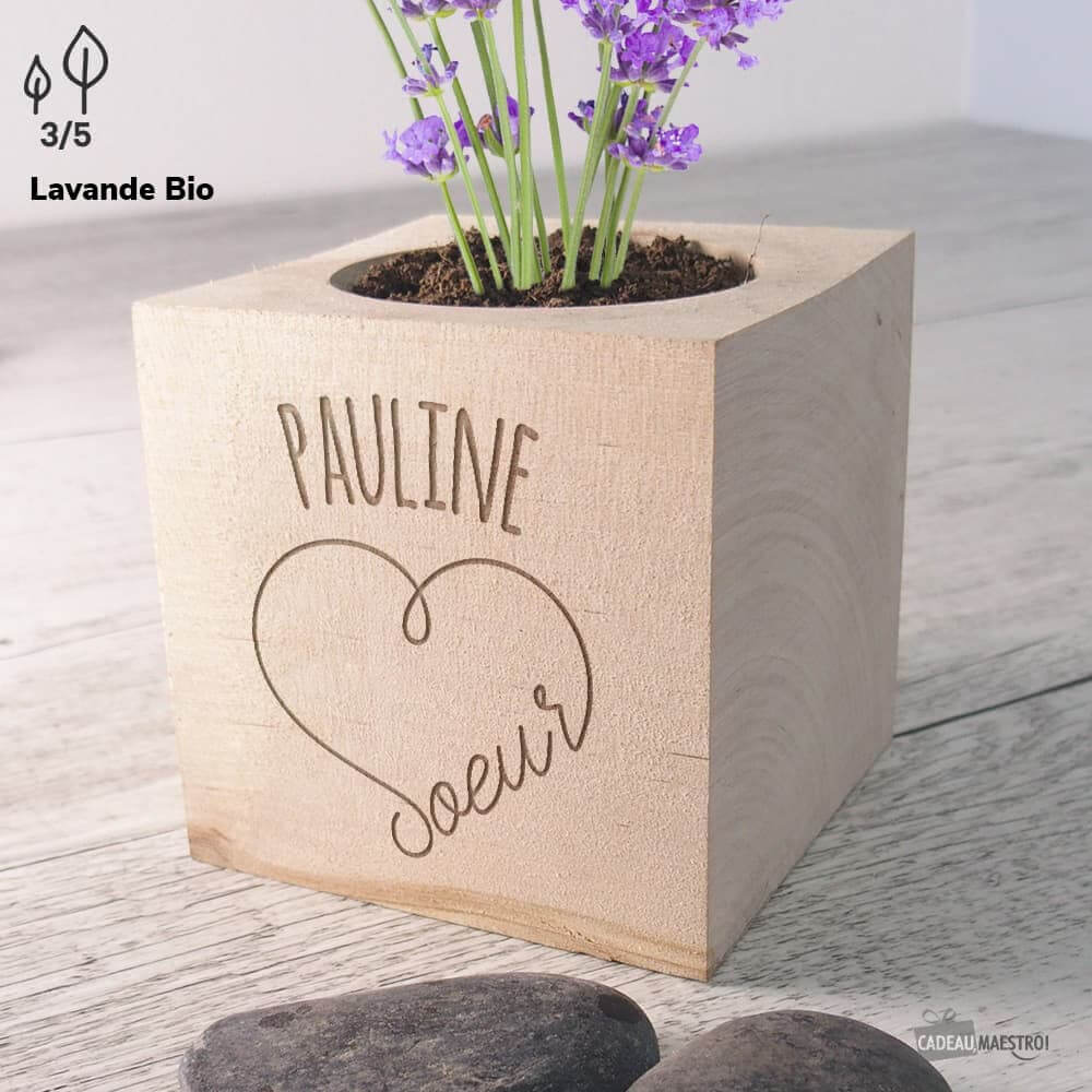 EcoCube Soeur à Personnaliser Bananes Naines - Ecocube Personnalisé