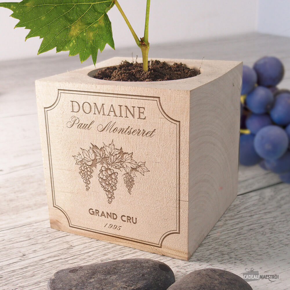 Ecocube Vin à Faire Pousser à Personnaliser Vigne Vierge - Ecocube Personnalisé