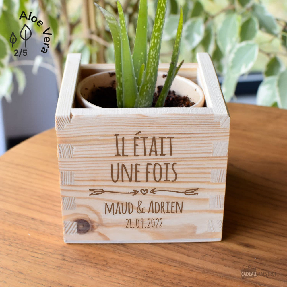 EcoCube XL Mariage à Personnaliser Aloe Vera - Ecocube Personnalisé