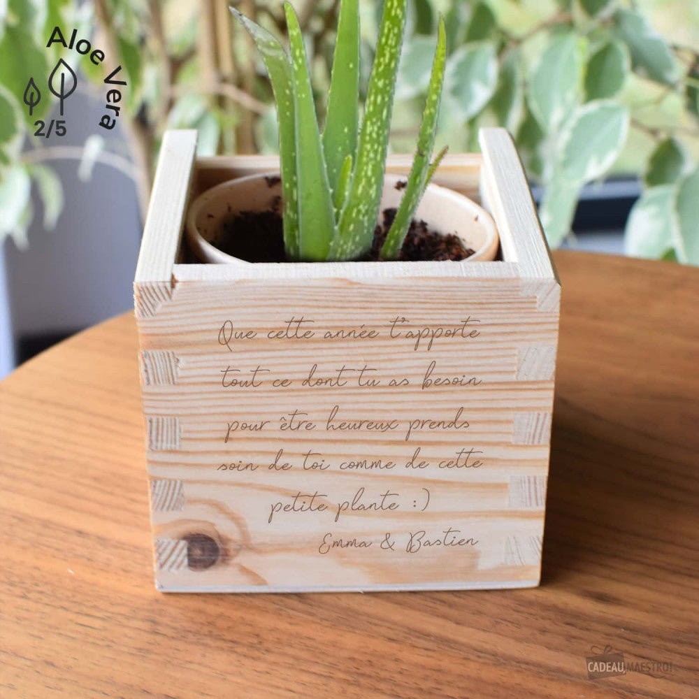 EcoCube XL Message à Personnaliser Aloe Vera - Ecocube Personnalisé