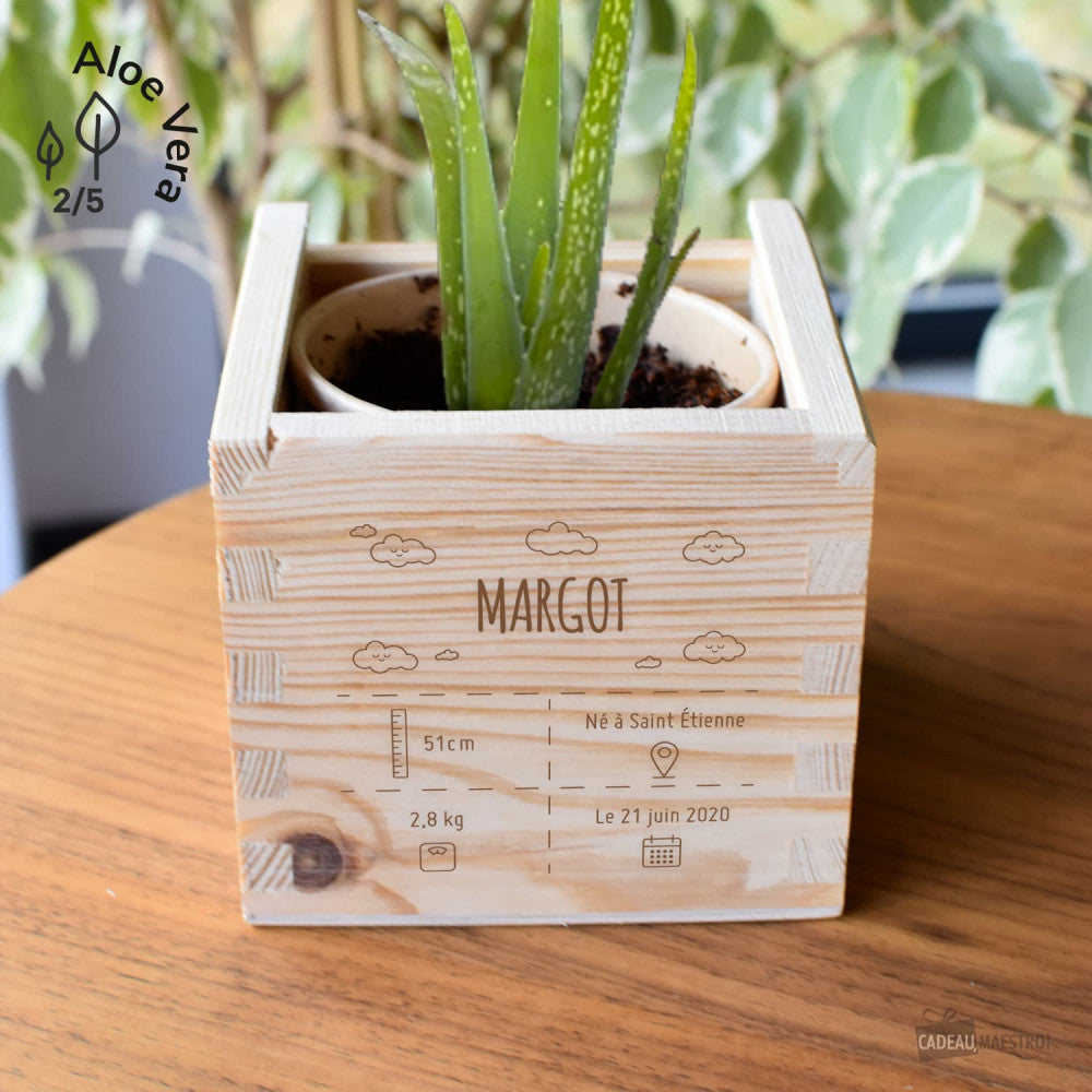 EcoCube XL Naissance à Personnaliser Aloe Vera - Ecocube Personnalisé