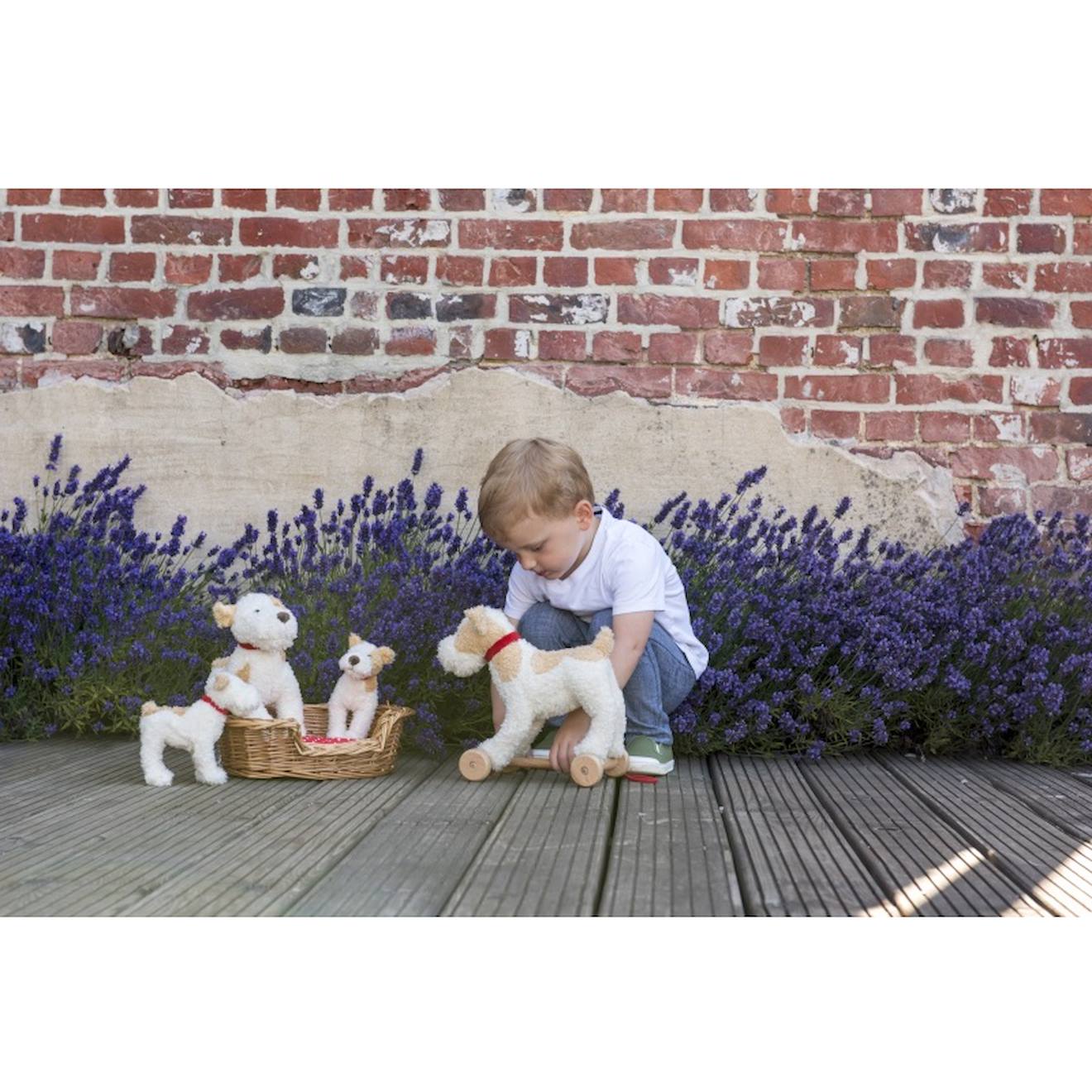 Eliot le chien en peluche beige