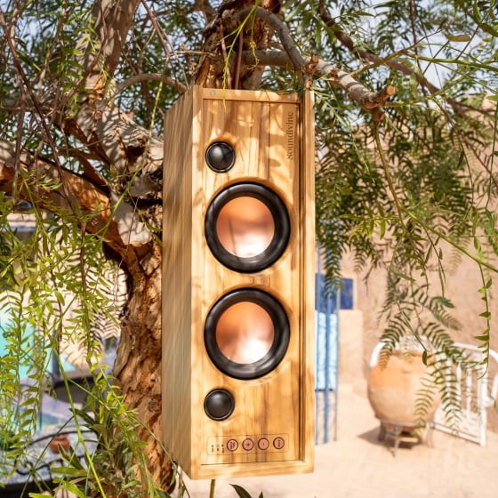 Enceinte Bluetooth The Bottle Soundivine