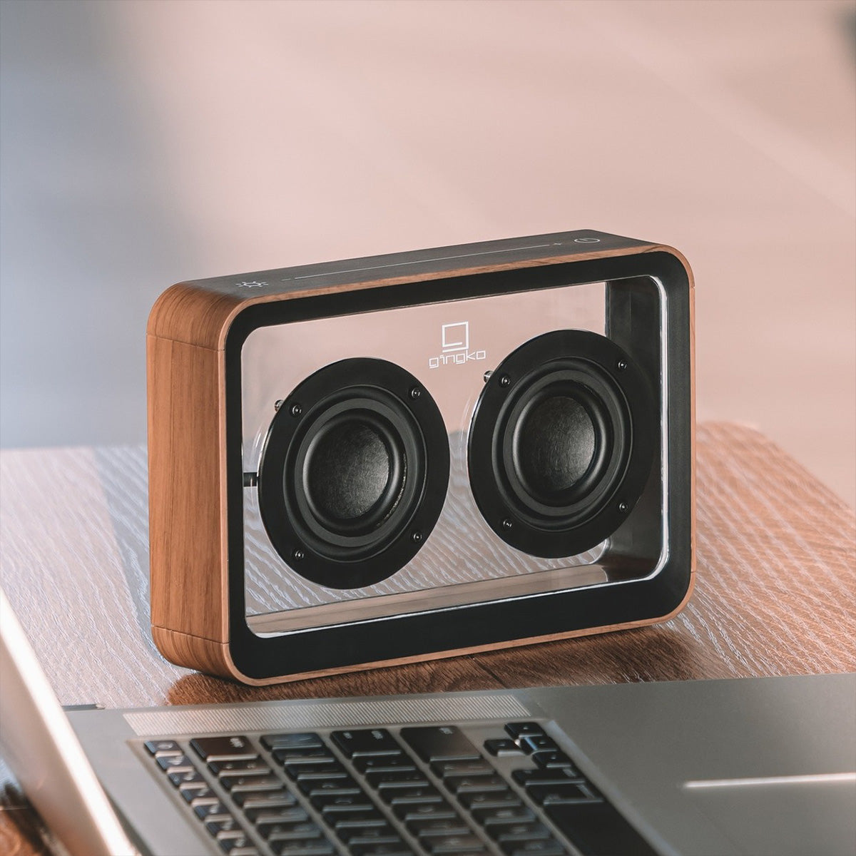 Enceinte Bluetooth transparente