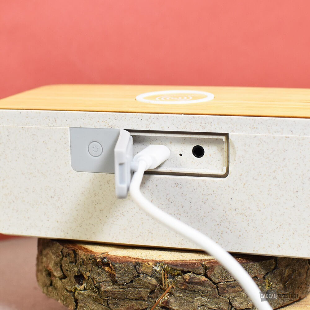Enceinte Chargeur Sans Fil Bambou - Enceinte Personnalisée CadoMaestro