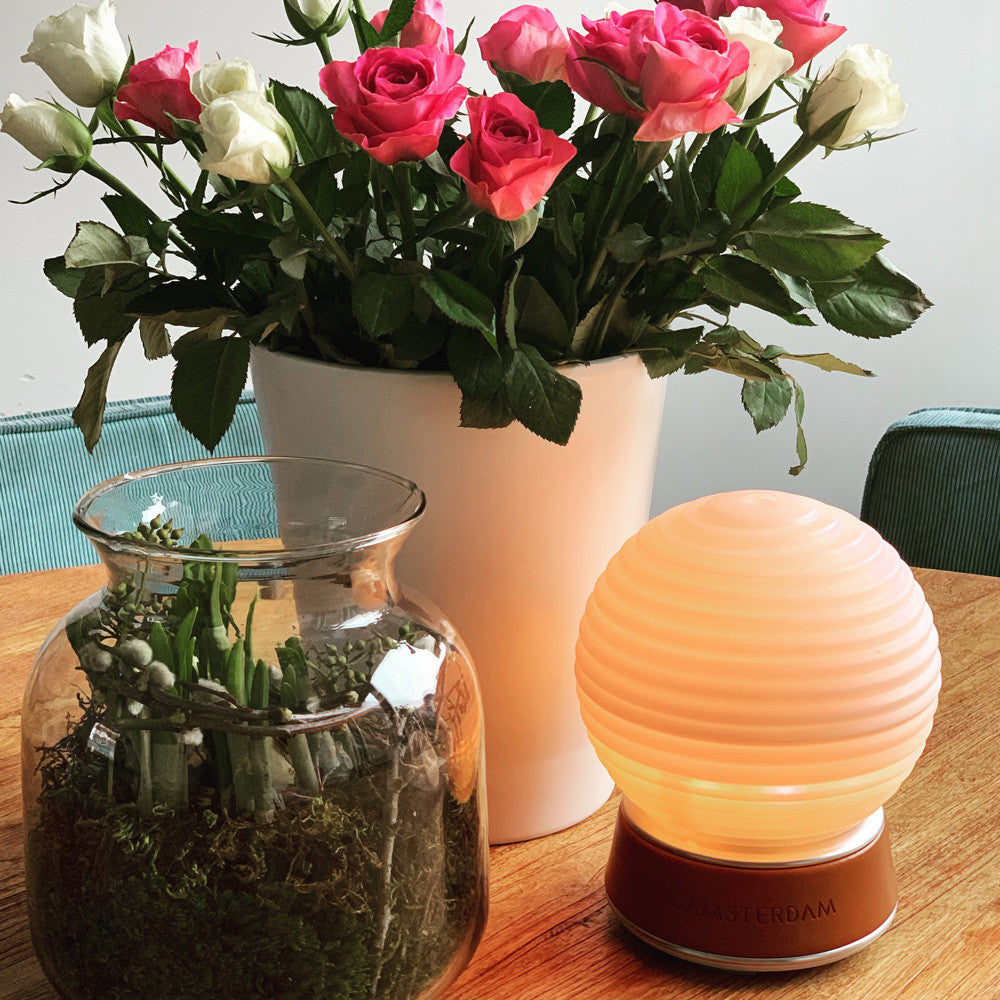 Coffret Premium Diffuseur d'Huiles Essentielles The Diffuser - Diffuseur Huiles Essentielles