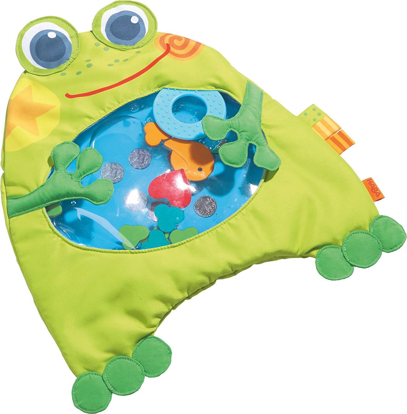 Éveil aquatique petite grenouille vert
