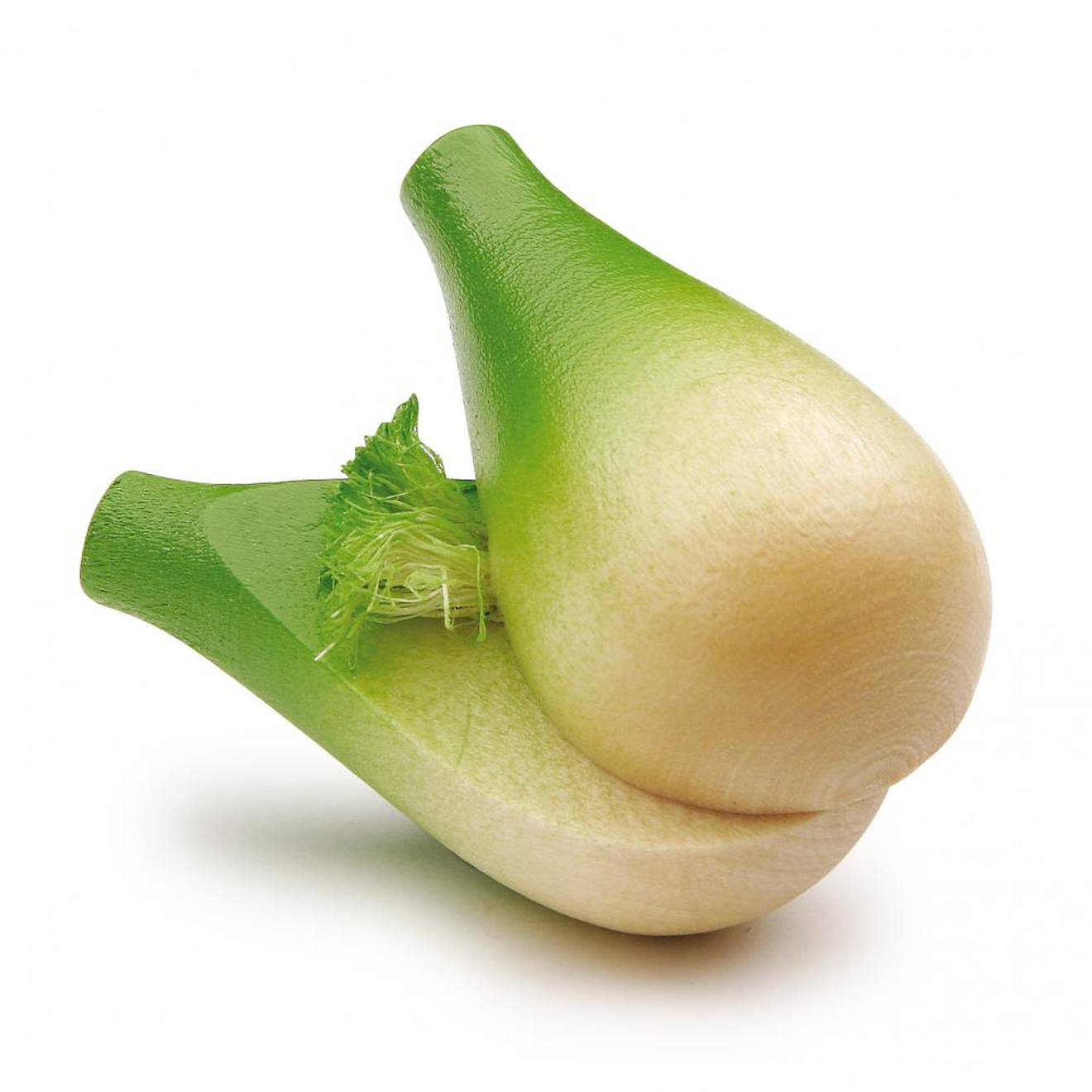 Fenouil vert