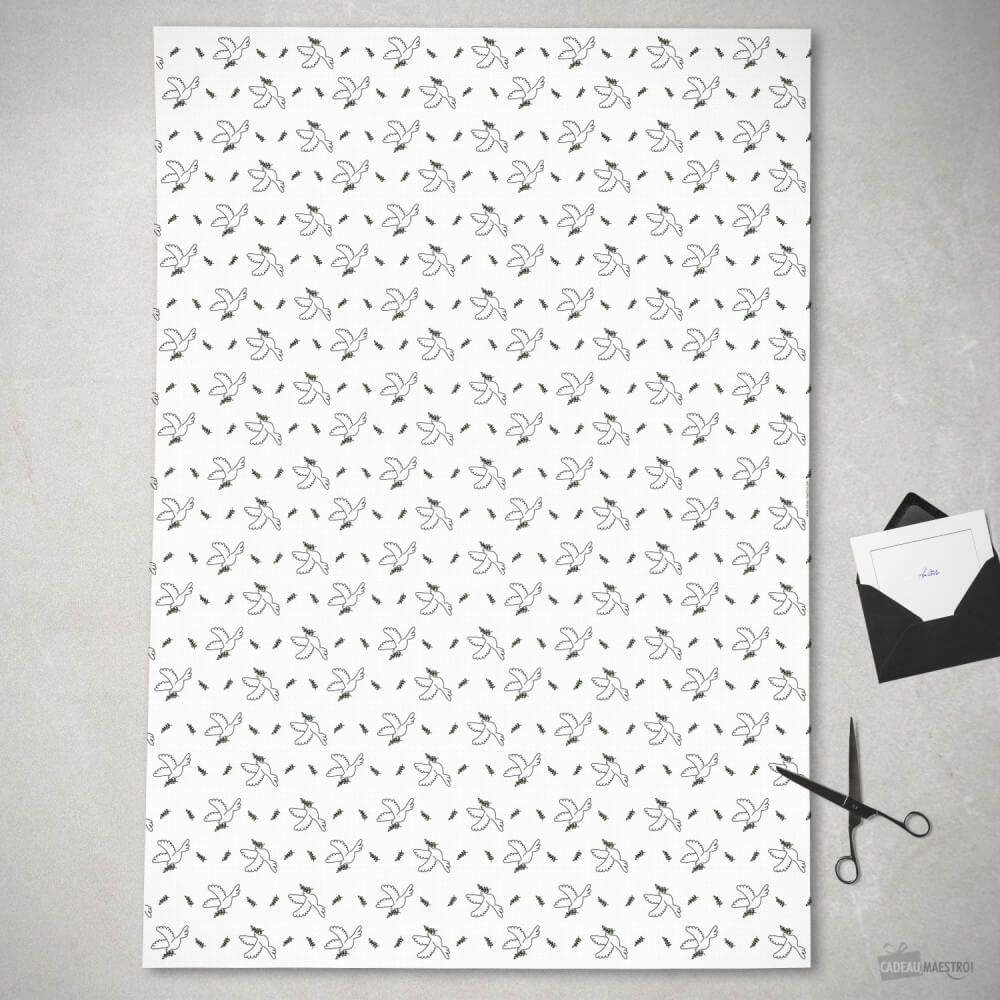 5 Feuilles de Papier Cadeau Coquin (70x100cm) - Papier Cadeau Opari