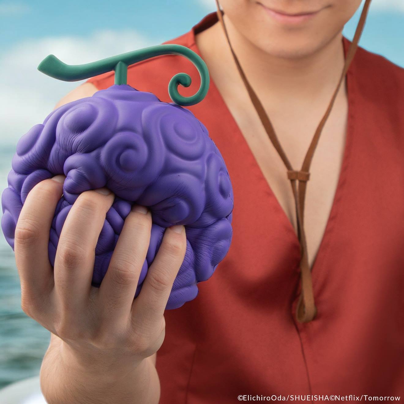 Figurine Fruit du Gum-gum Squishy Anti-stress - One Piece Violet