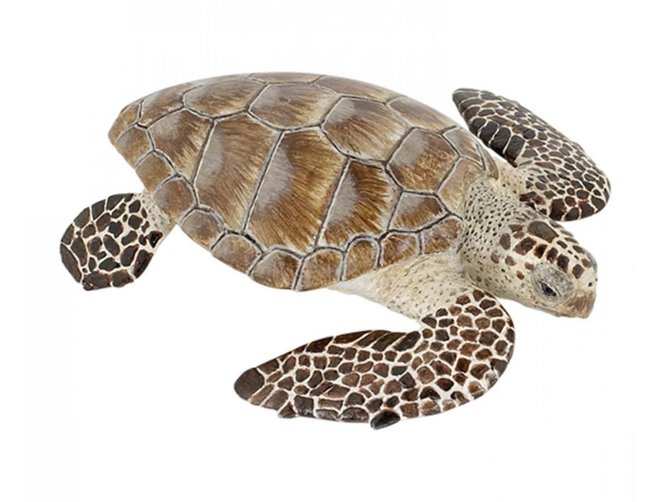 Figurine tortue caouanne marron