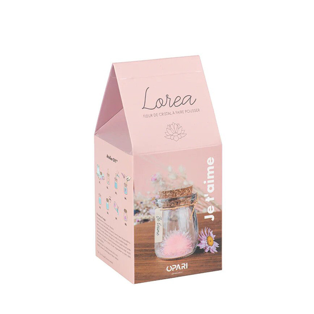 Fleur de Cristal à Faire Pousser Je t'aime - Vase Original