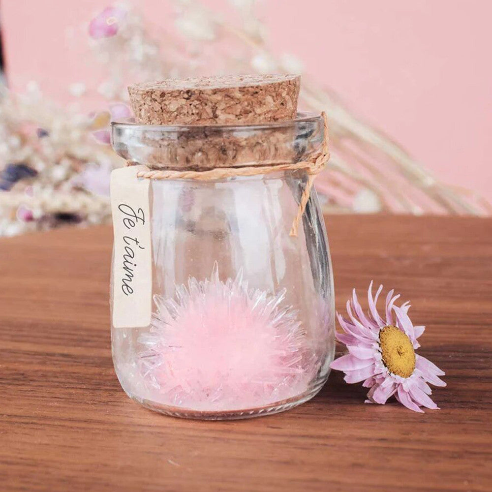 Fleur de Cristal à Faire Pousser Je t'aime - Vase Original