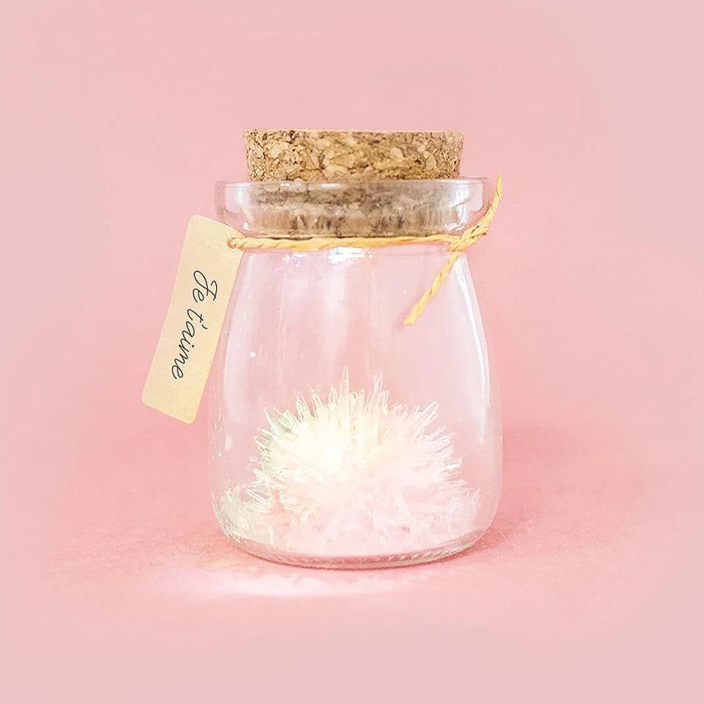 Fleur de Cristal à Faire Pousser Je t'aime - Vase Original