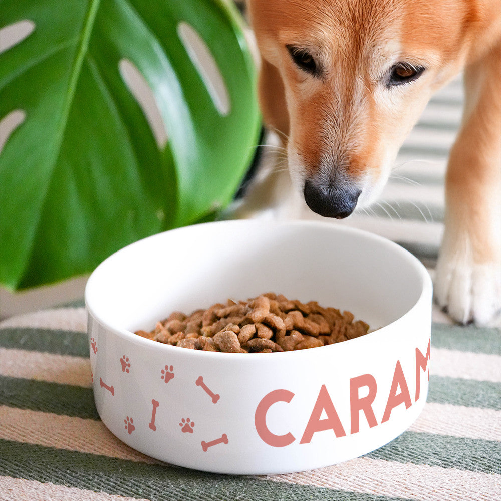 Gamelle pour Chien à Personnaliser - Bol Original