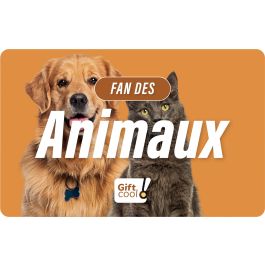 E-carte cadeau Gift.cool